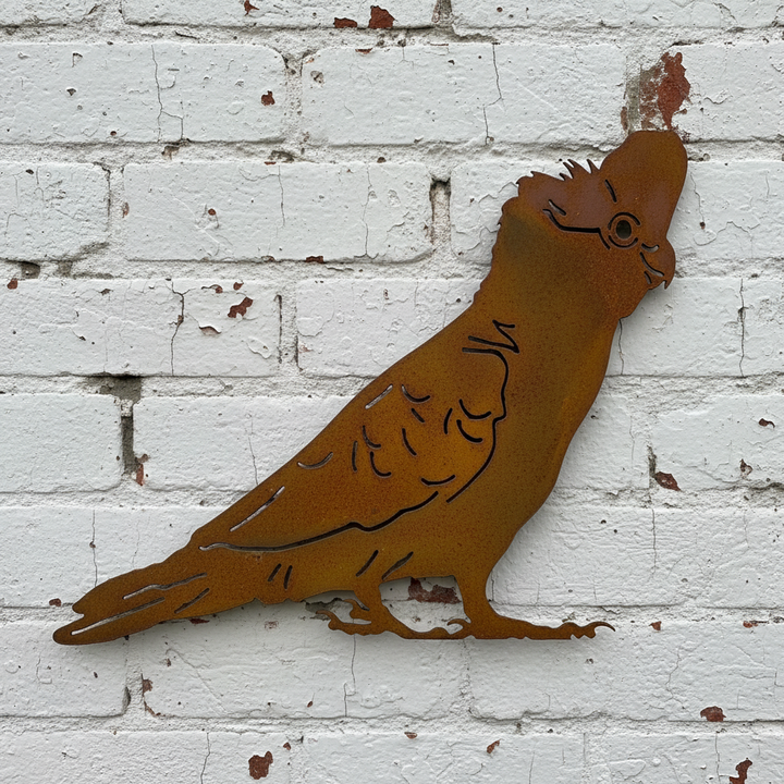 Galah Metal Wall Art - Garden Art