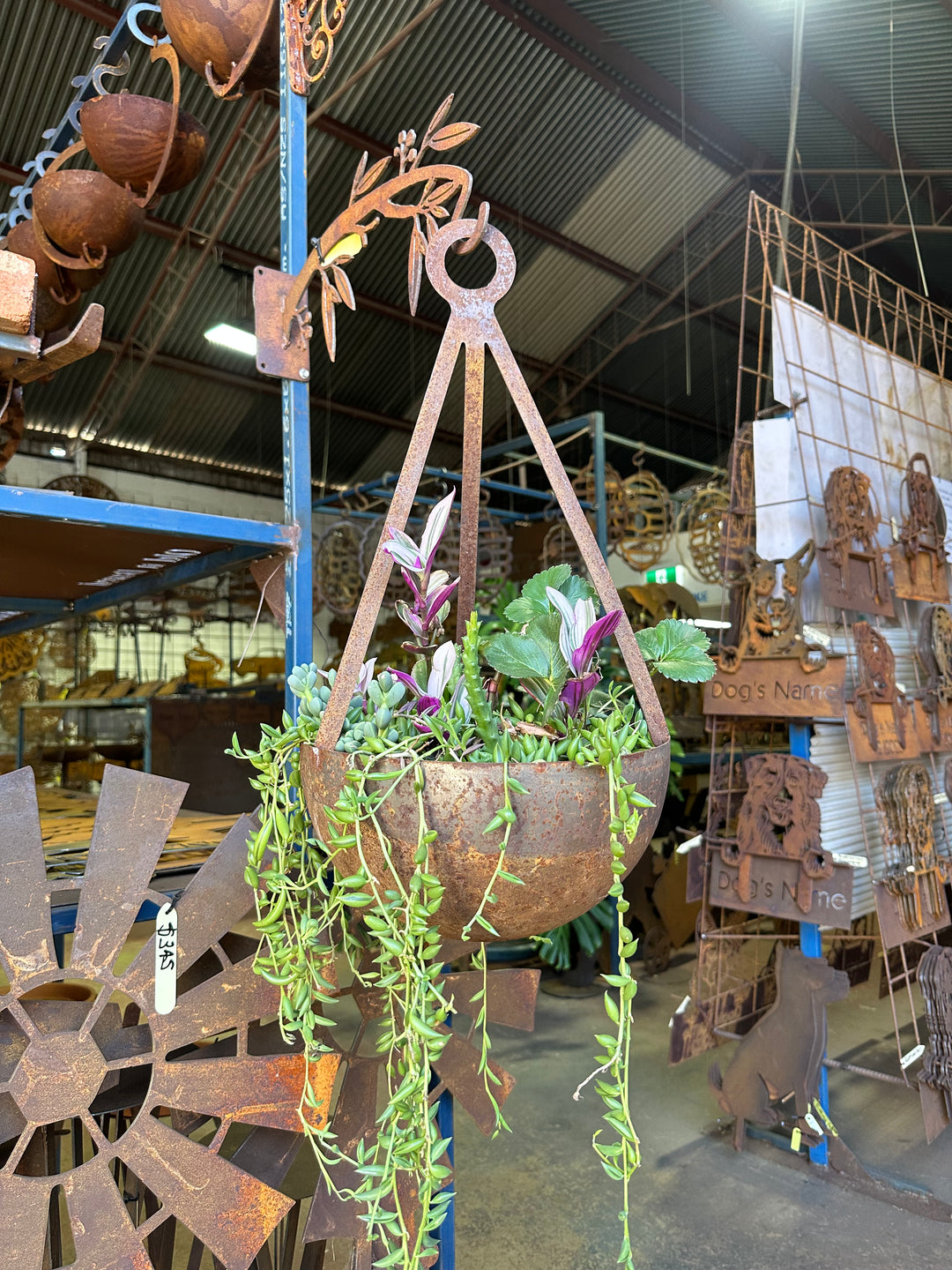 Hanging Pot-Old n Dazed