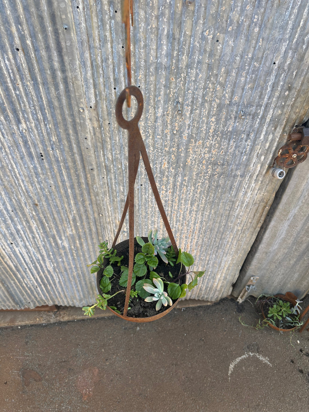 Hanging Pot-Old n Dazed
