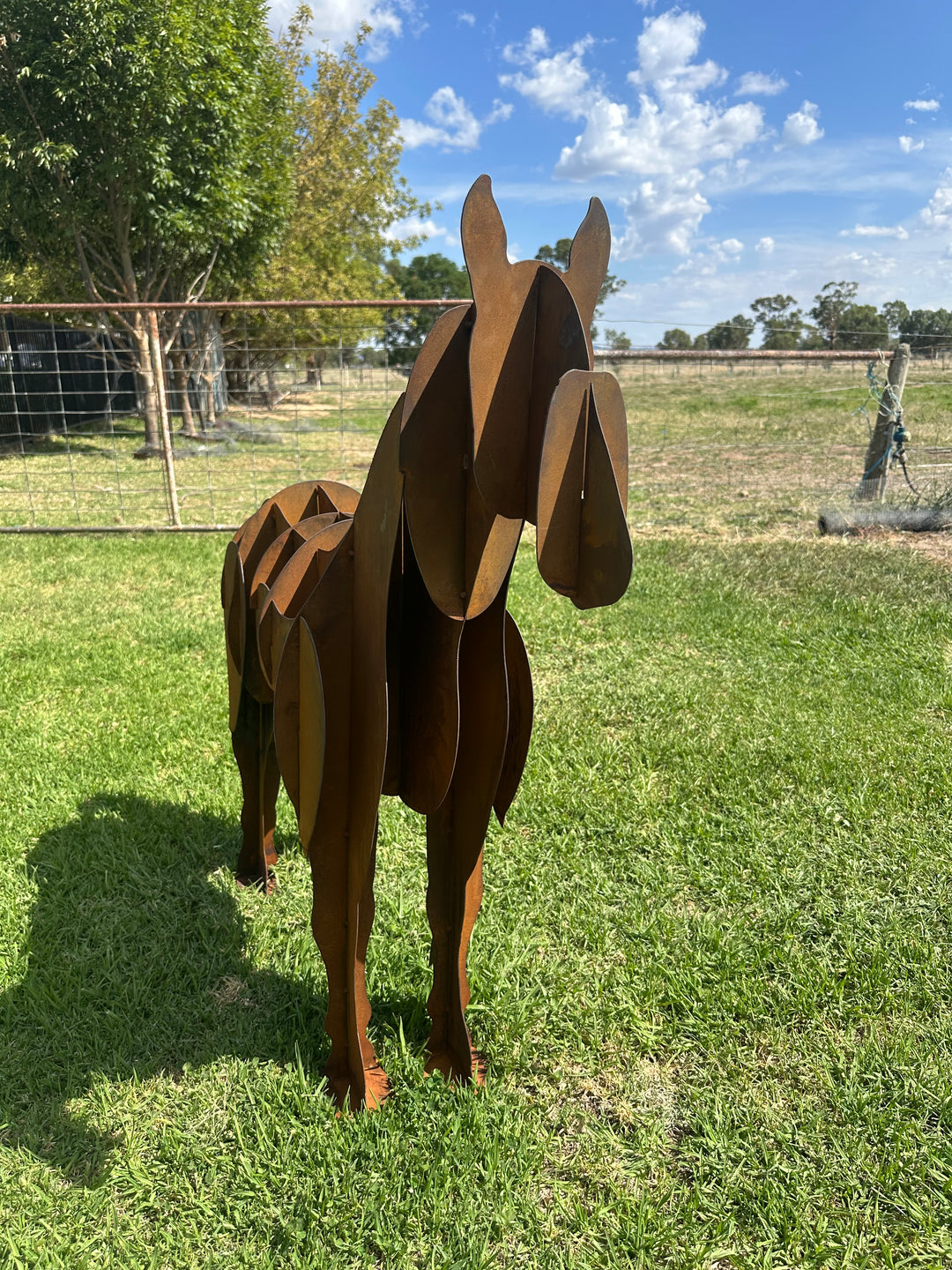 Horse - Metal garden Sculpture - Large Feature - Statement Piece-Old n Dazed