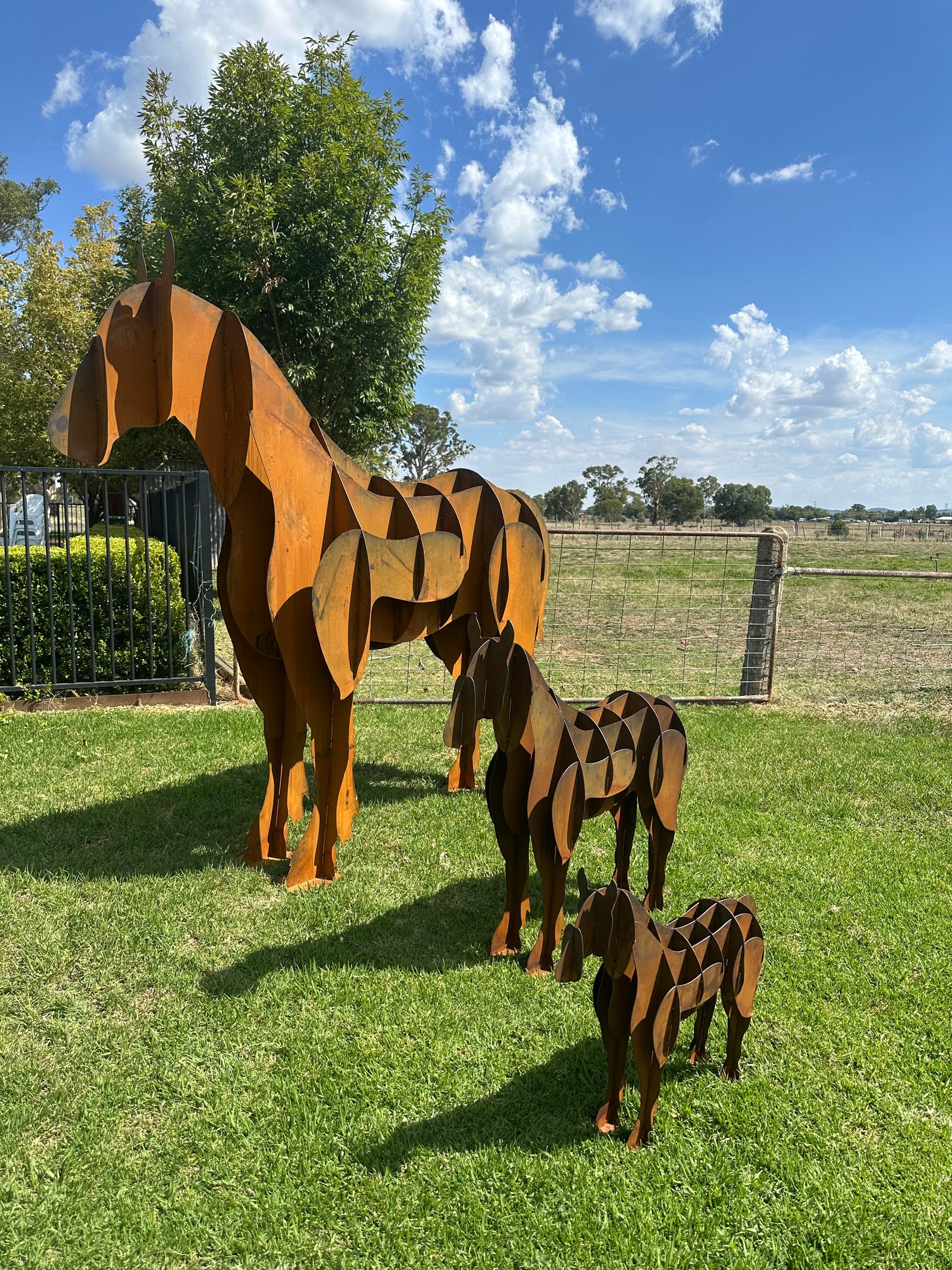 Horse - Metal garden Sculpture - Large Feature - Statement Piece-Old n Dazed