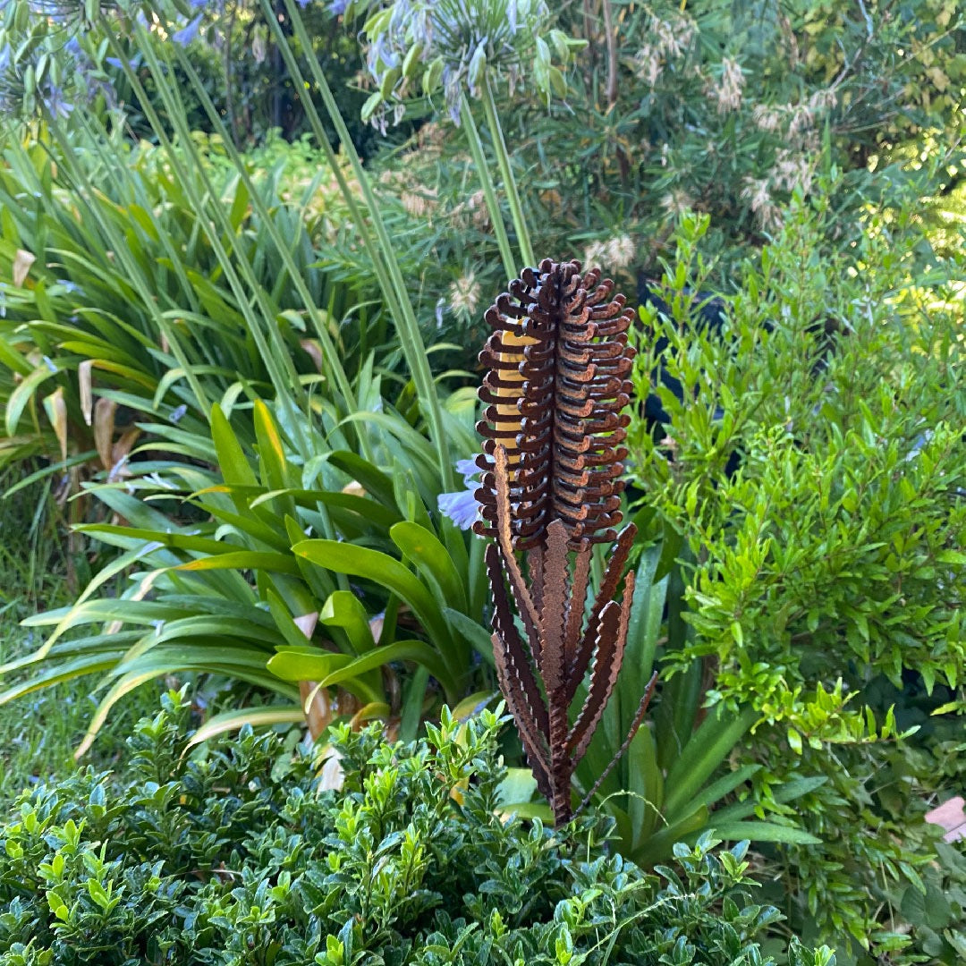 Banksia (small or medium) Metal Garden Art