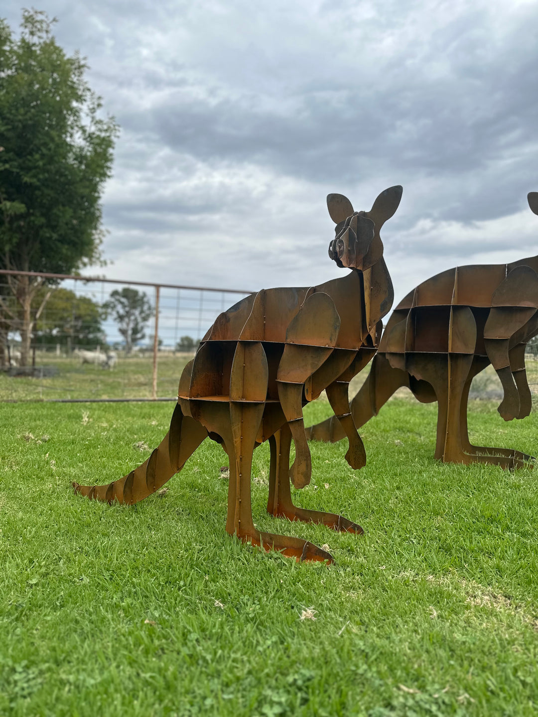 Kangaroo - Metal Sculpture - Large Garden Feature-Old n Dazed
