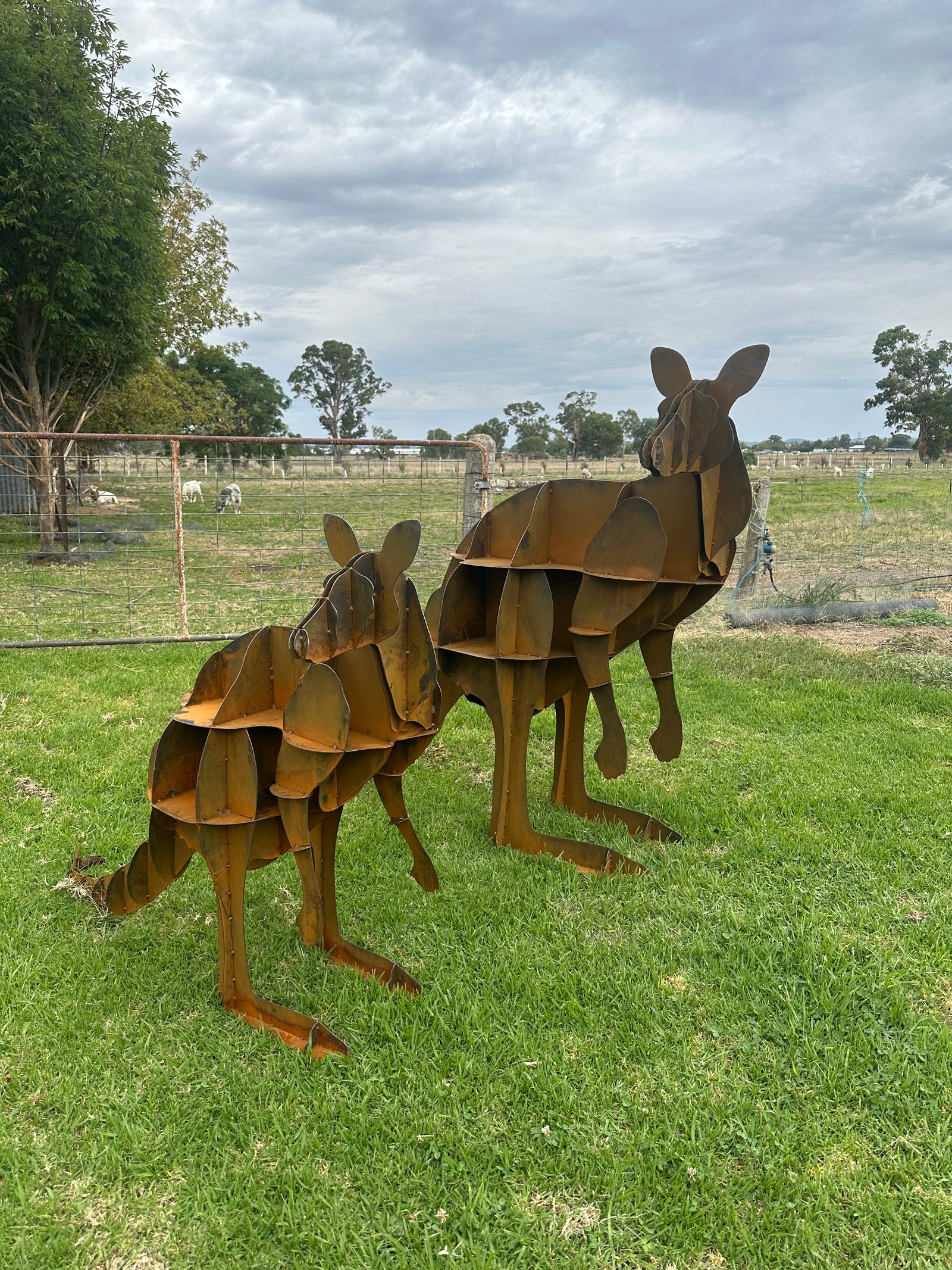 Kangaroo - Metal Sculpture - Large Garden Feature-Old n Dazed