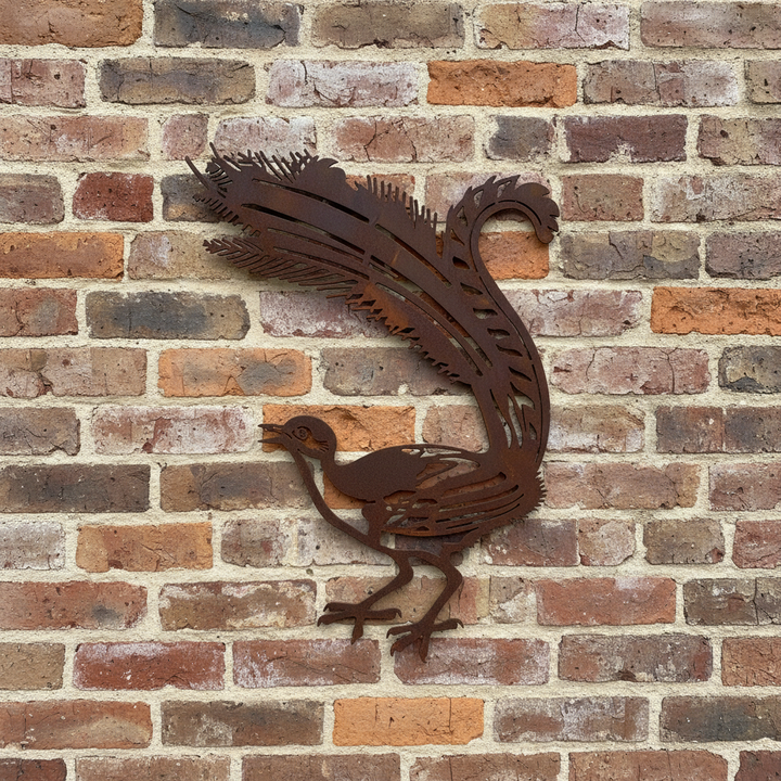 Lyrebird Metal Wall Art - Garden Art