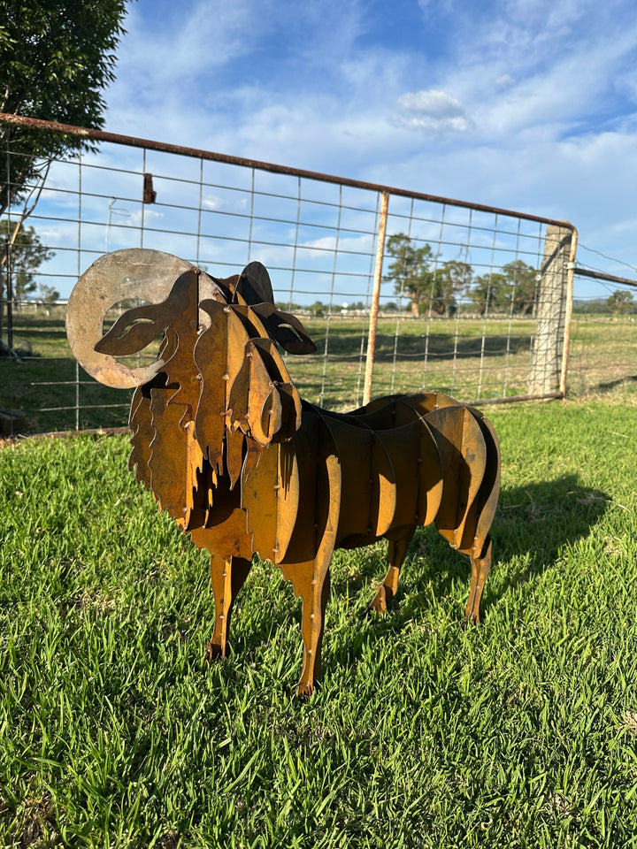 Ram - Metal garden Sculpture - Large Feature-Old n Dazed