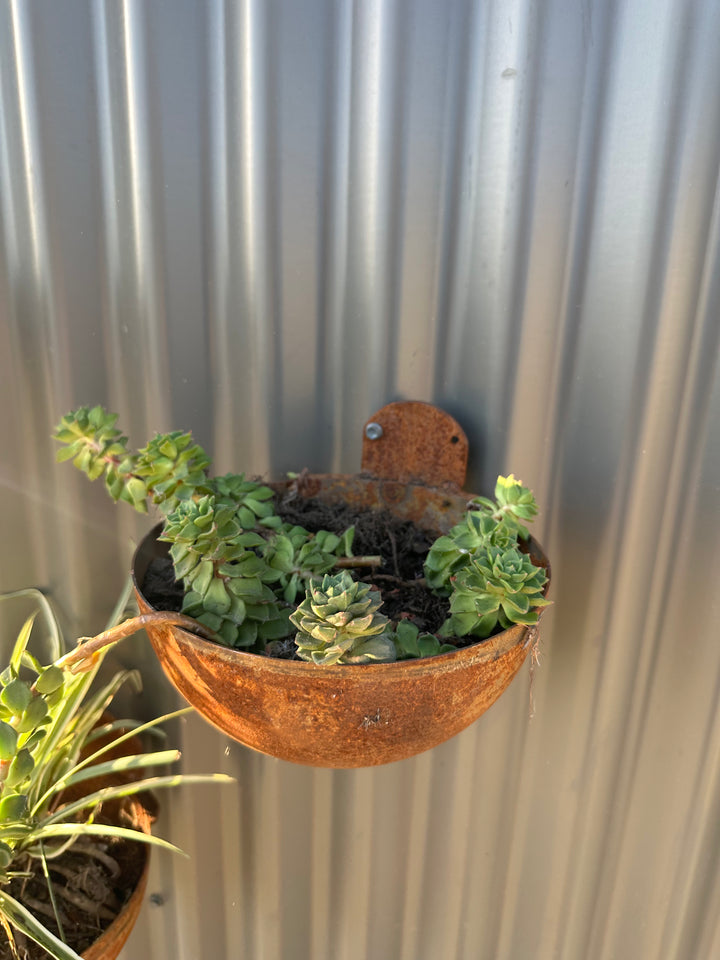 Vertical Garden Pots-Old n Dazed