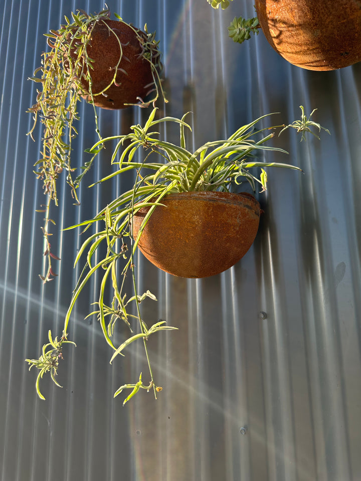 Vertical Garden Pots-Old n Dazed