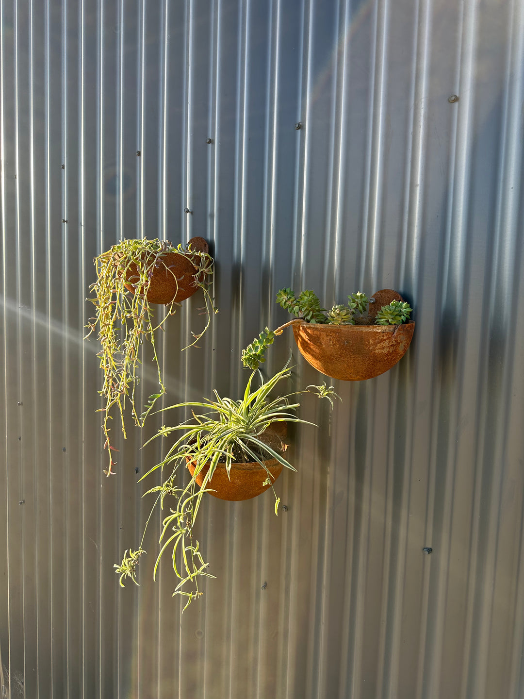Vertical Garden Pots-Old n Dazed