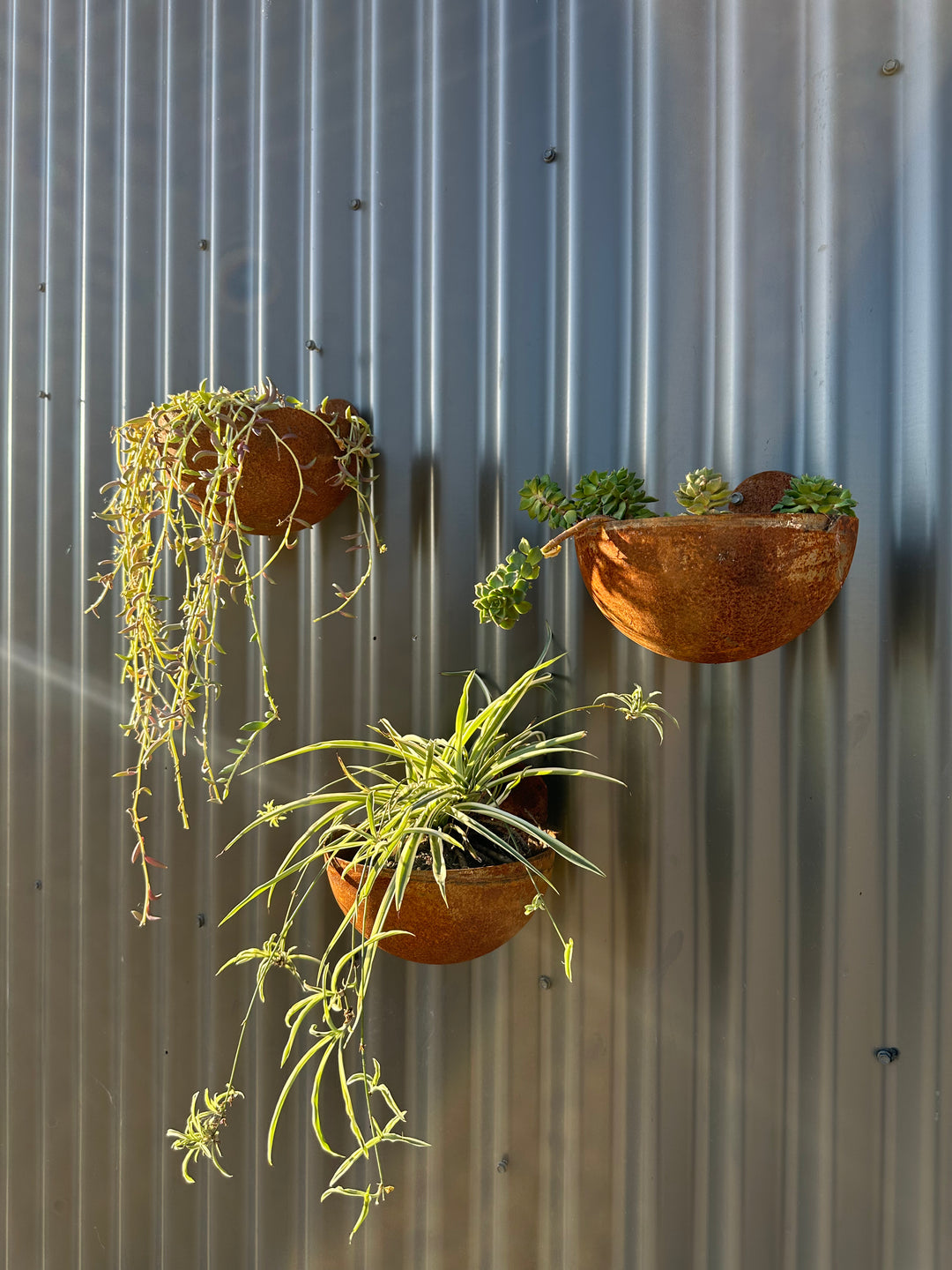 Vertical Garden Pots-Old n Dazed