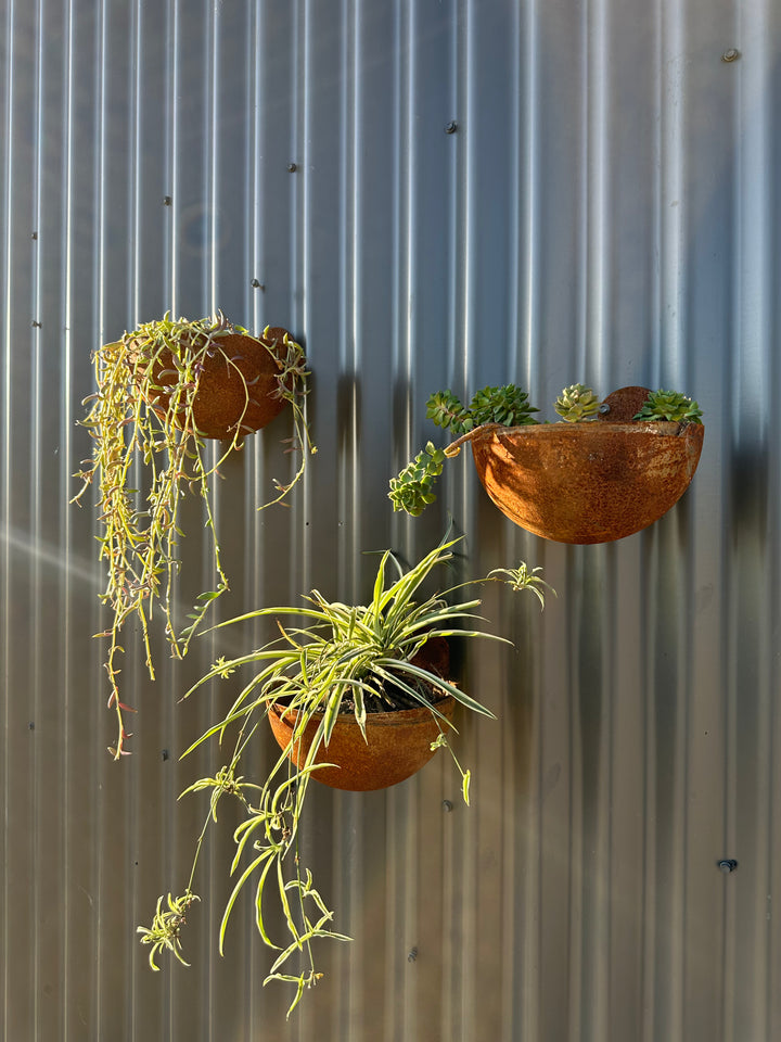 Vertical Garden Pots-Old n Dazed