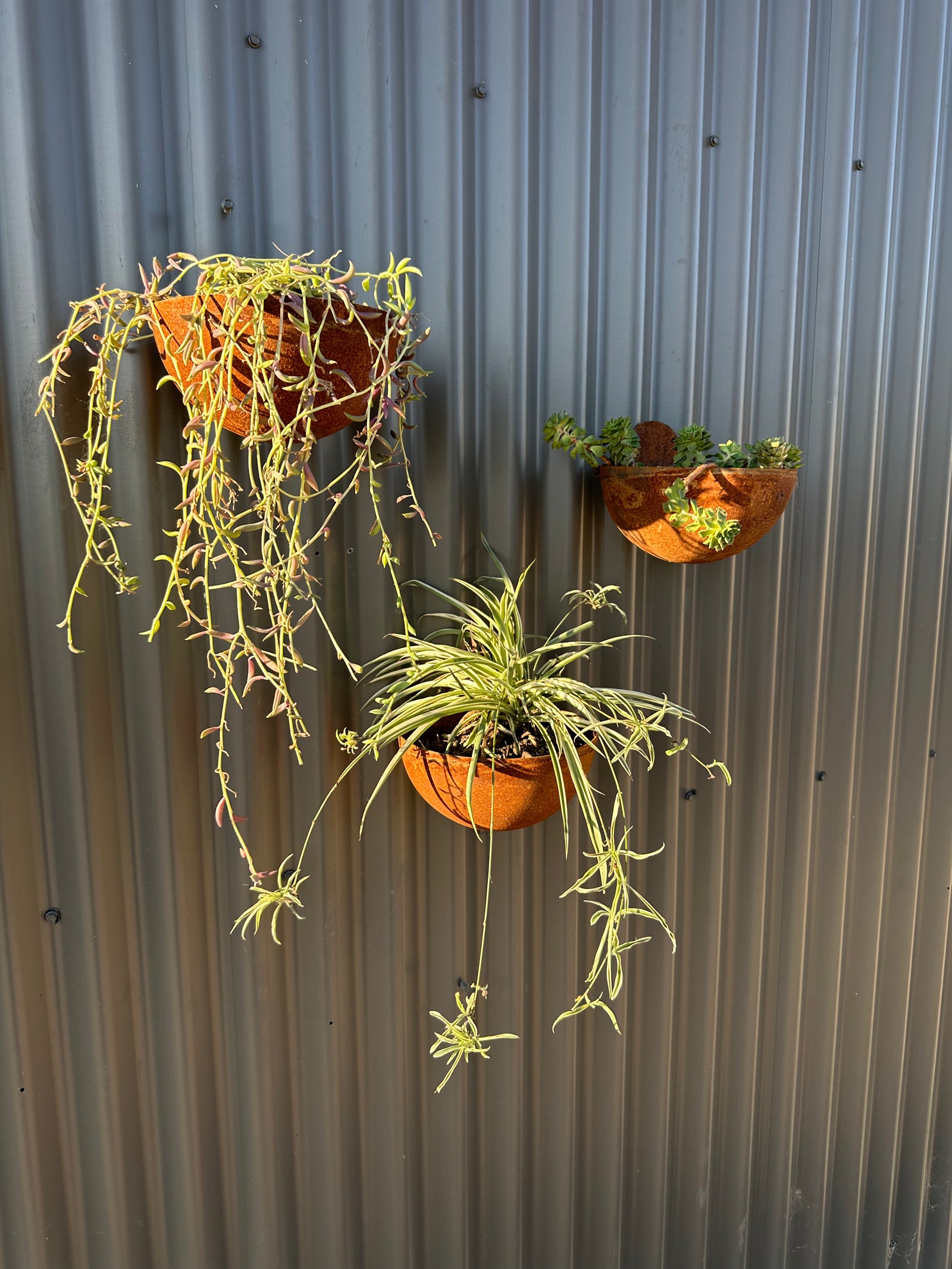 Vertical Garden Pots-Old n Dazed