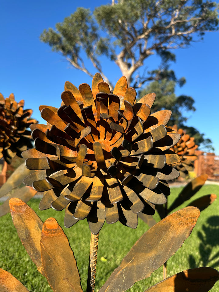Waratah Flower Metal Art - Garden Art Sculpture-Old n Dazed