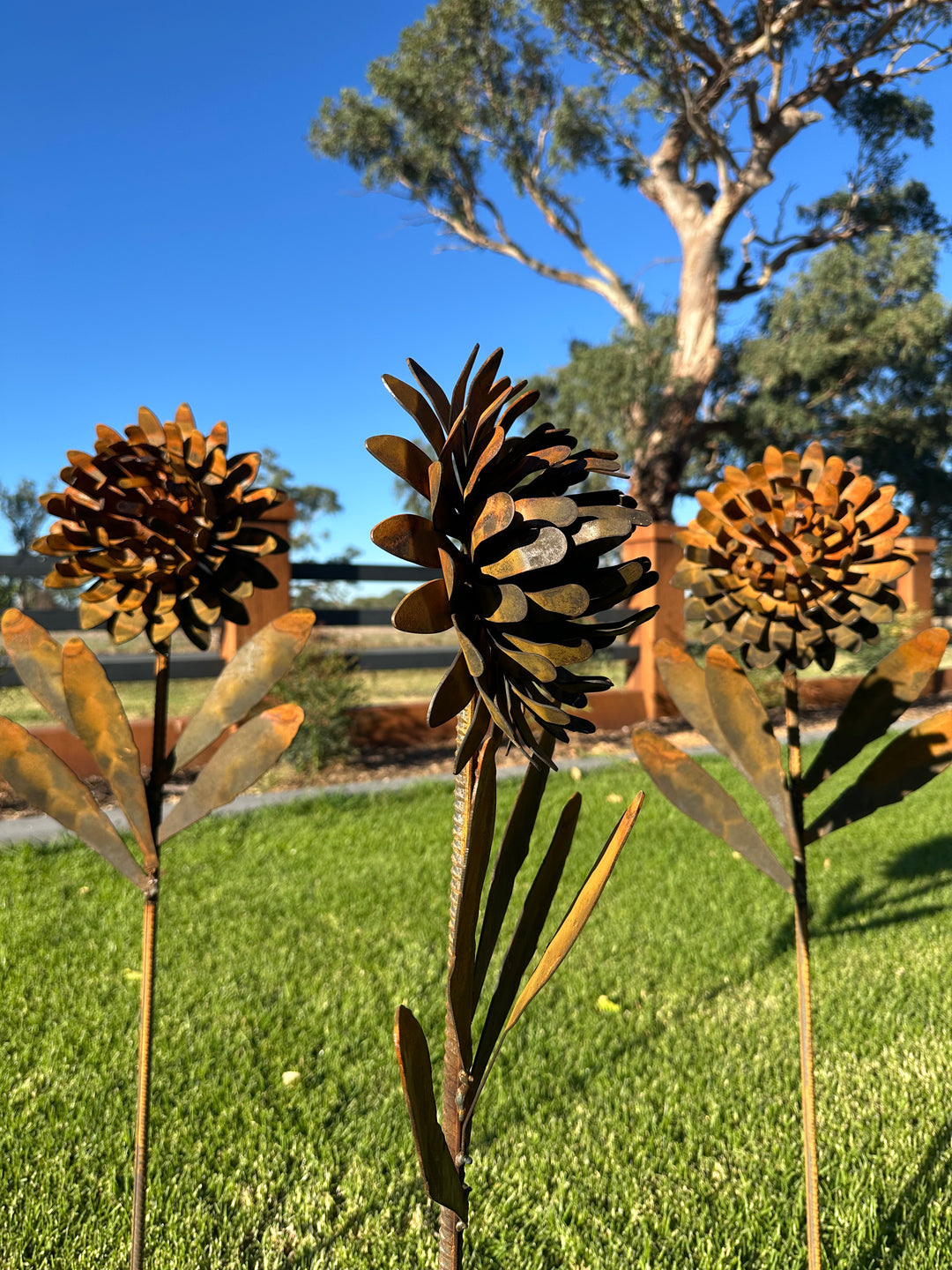 Waratah Flower Metal Art - Garden Art Sculpture-Old n Dazed