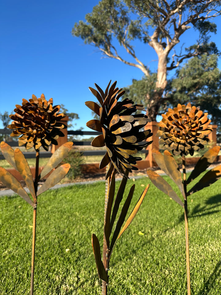 Waratah Flower Metal Art - Garden Art Sculpture-Old n Dazed