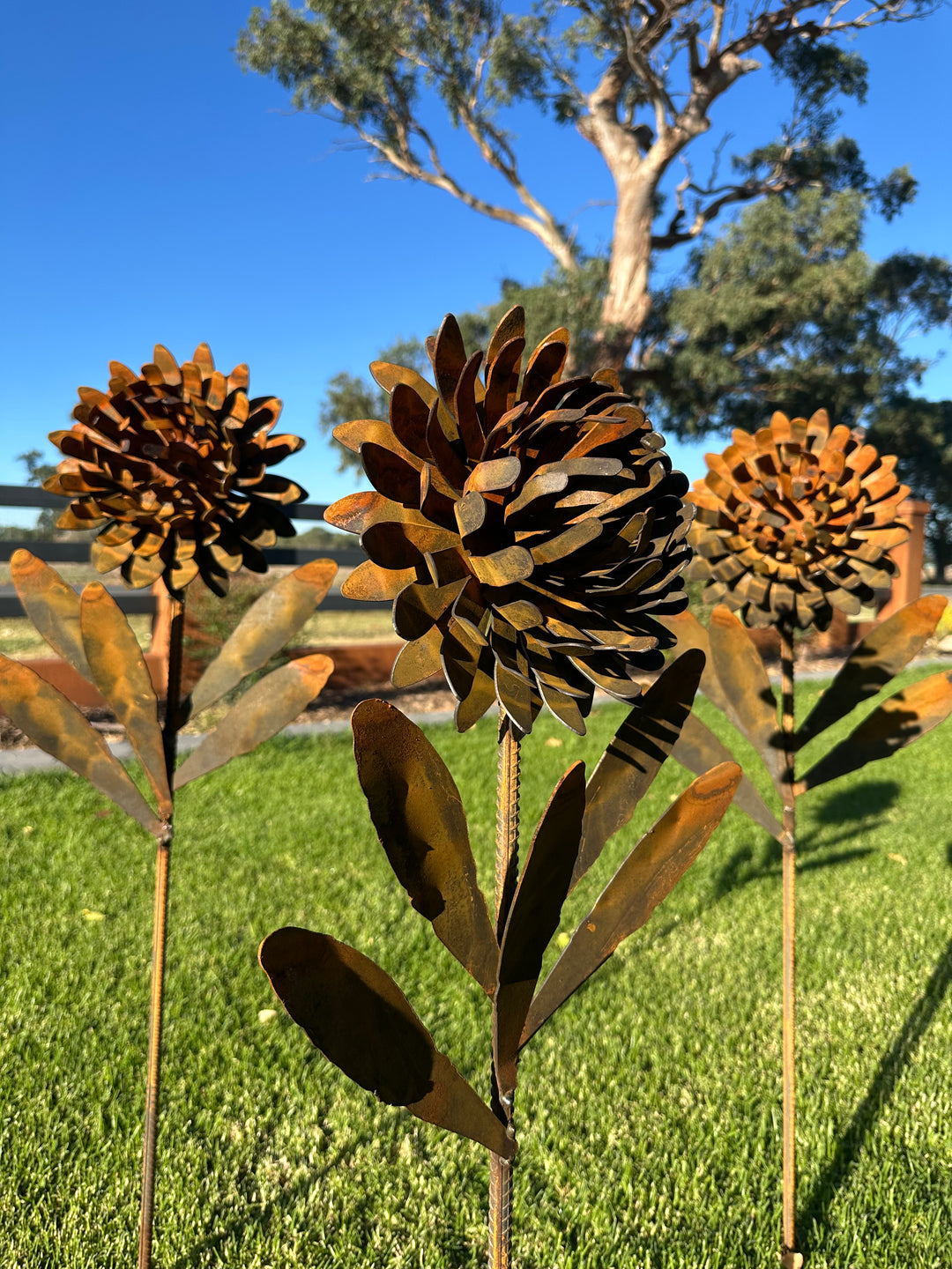Waratah Flower Metal Art - Garden Art Sculpture-Old n Dazed
