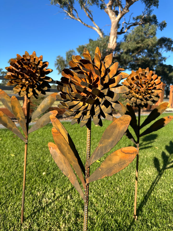 Waratah Flower Metal Art - Garden Art Sculpture-Old n Dazed