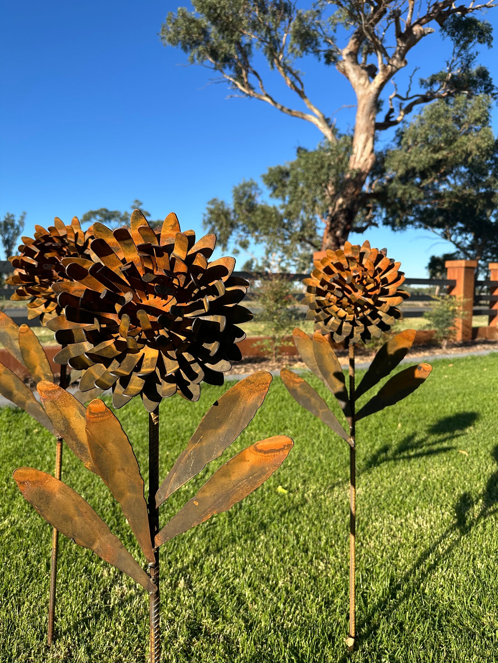 Waratah Flower Metal Art - Garden Art Sculpture-Old n Dazed