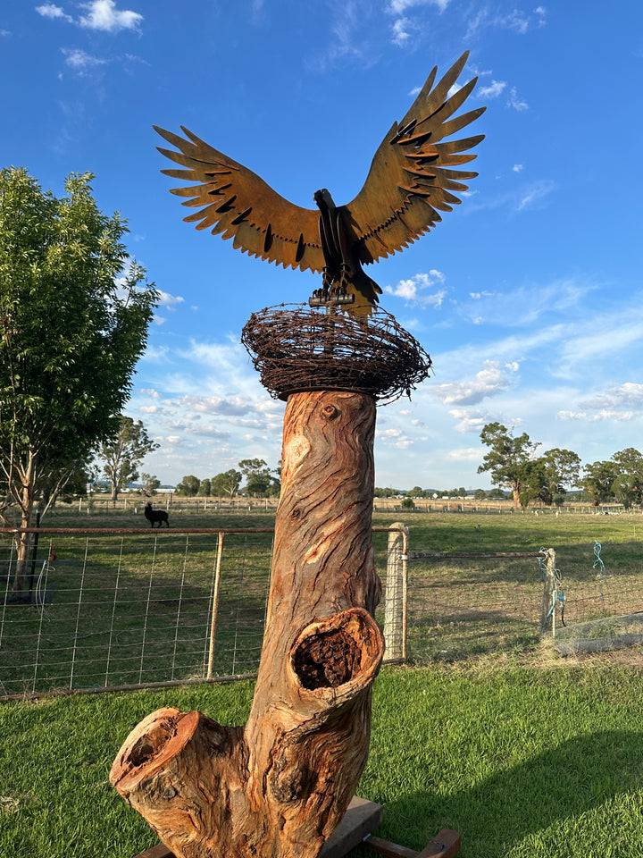 Wedge-Tailed Eagle Landing on Barbed Wire Nest – Majestic Metal Sculpture for Garden & Outdoor Display-Old n Dazed