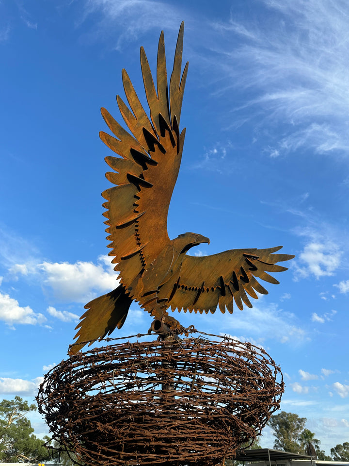 Wedge-Tailed Eagle Landing on Barbed Wire Nest – Majestic Metal Sculpture for Garden & Outdoor Display-Old n Dazed