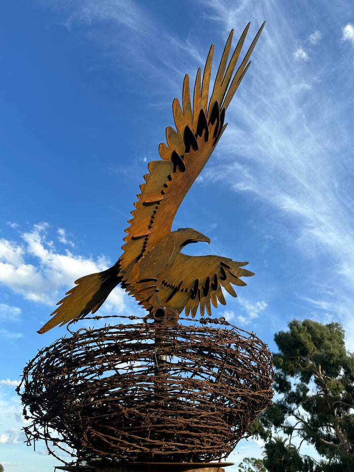Wedge-Tailed Eagle Landing on Barbed Wire Nest – Majestic Metal Sculpture for Garden & Outdoor Display-Old n Dazed