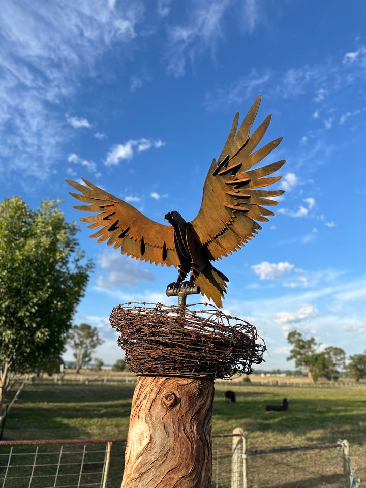Wedge-Tailed Eagle Landing on Barbed Wire Nest – Majestic Metal Sculpture for Garden & Outdoor Display-Old n Dazed