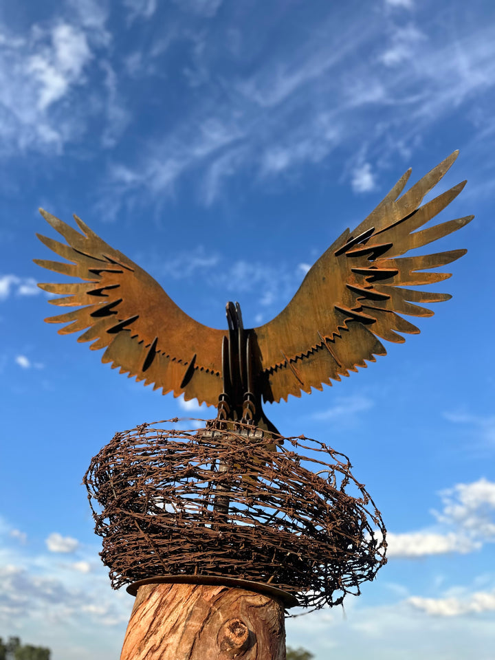 Wedge-Tailed Eagle Landing on Barbed Wire Nest – Majestic Metal Sculpture for Garden & Outdoor Display-Old n Dazed