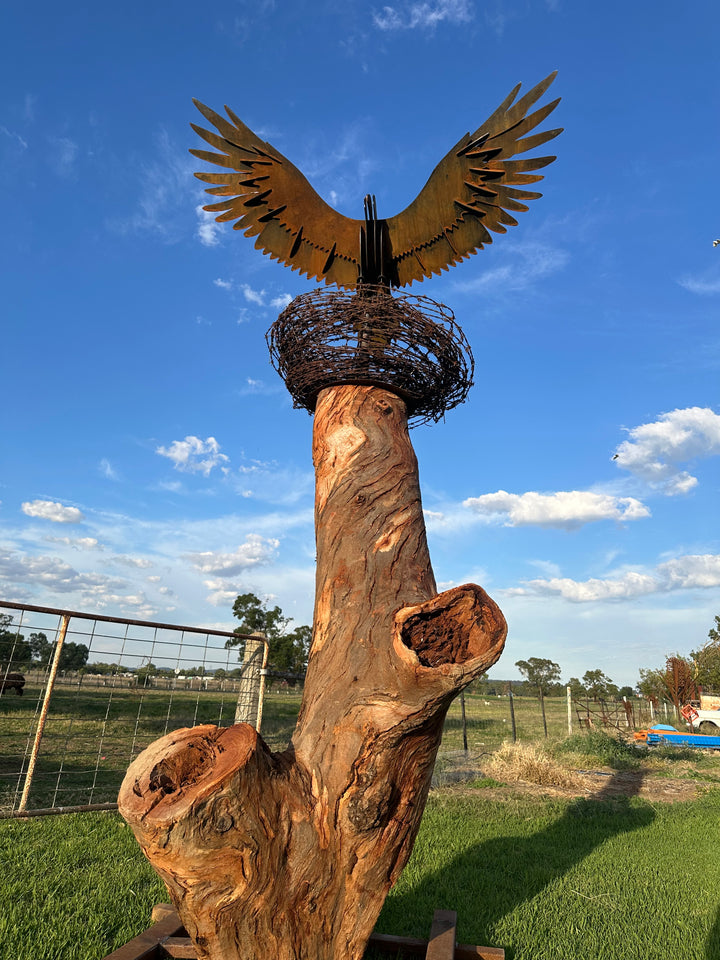 Wedge-Tailed Eagle Landing on Barbed Wire Nest – Majestic Metal Sculpture for Garden & Outdoor Display-Old n Dazed
