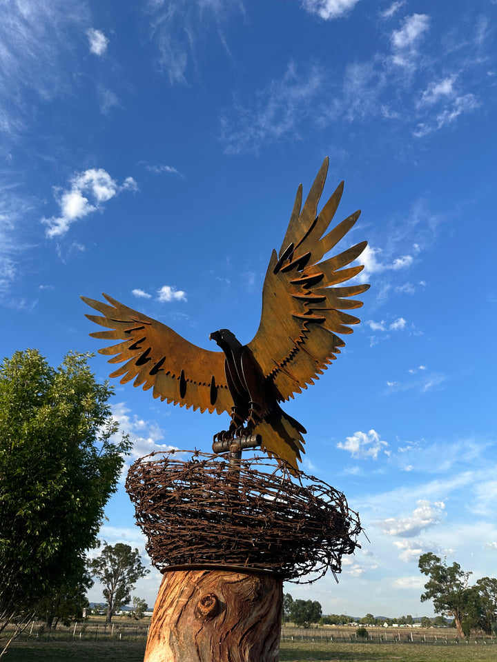 Wedge-Tailed Eagle Landing on Barbed Wire Nest – Majestic Metal Sculpture for Garden & Outdoor Display-Old n Dazed