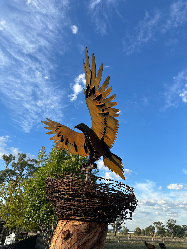 Wedge-Tailed Eagle Landing on Barbed Wire Nest – Majestic Metal Sculpture for Garden & Outdoor Display-Old n Dazed