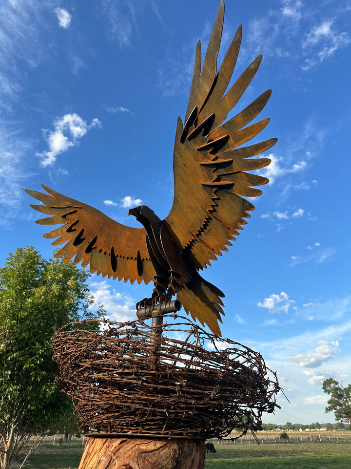 Wedge-Tailed Eagle Landing on Barbed Wire Nest – Majestic Metal Sculpture for Garden & Outdoor Display-Old n Dazed