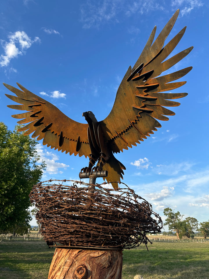 Wedge-Tailed Eagle Landing on Barbed Wire Nest – Majestic Metal Sculpture for Garden & Outdoor Display-Old n Dazed