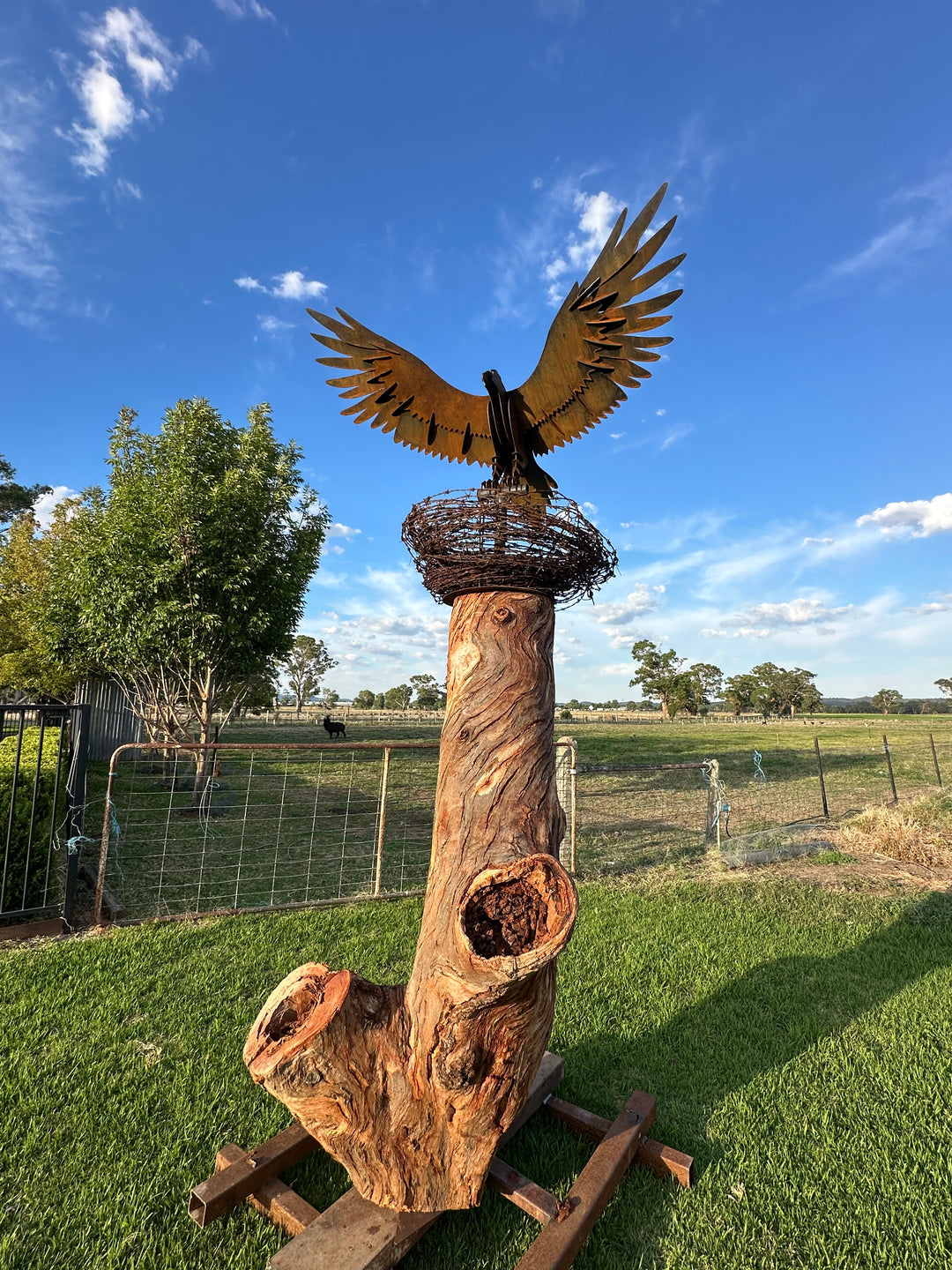 Wedge-Tailed Eagle Landing on Barbed Wire Nest – Majestic Metal Sculpture for Garden & Outdoor Display-Old n Dazed