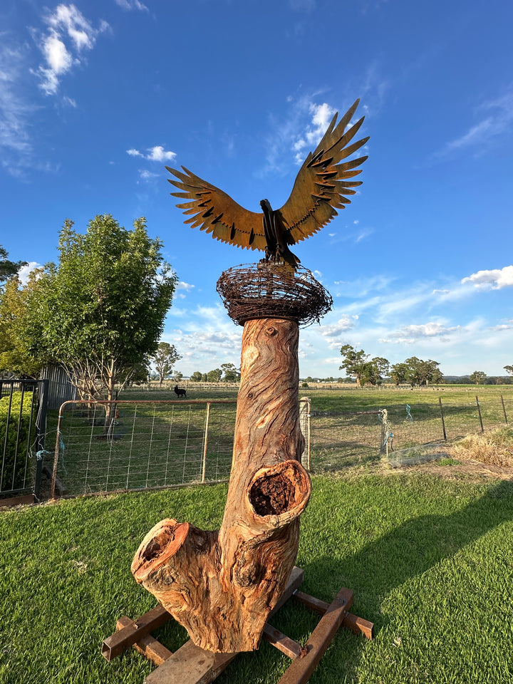 Wedge-Tailed Eagle Landing on Barbed Wire Nest – Majestic Metal Sculpture for Garden & Outdoor Display-Old n Dazed