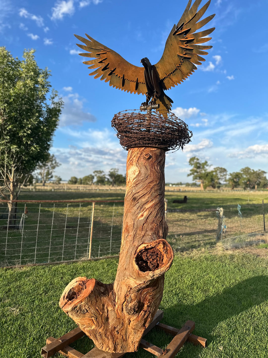 Wedge-Tailed Eagle Landing on Barbed Wire Nest – Majestic Metal Sculpture for Garden & Outdoor Display-Old n Dazed