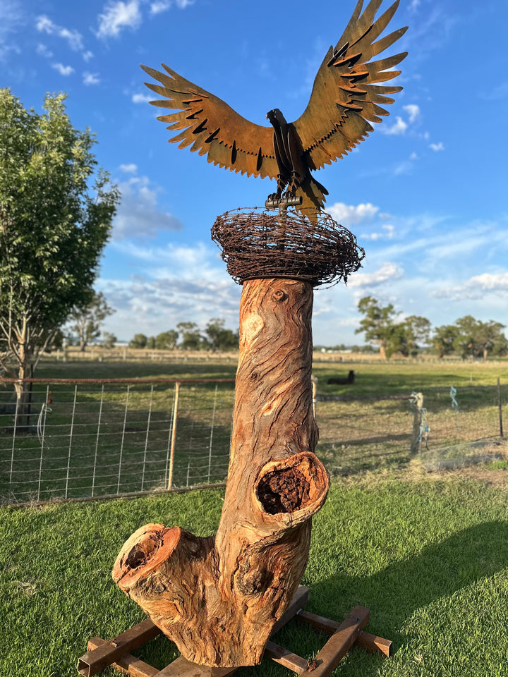 Wedge-Tailed Eagle Landing on Barbed Wire Nest – Majestic Metal Sculpture for Garden & Outdoor Display-Old n Dazed