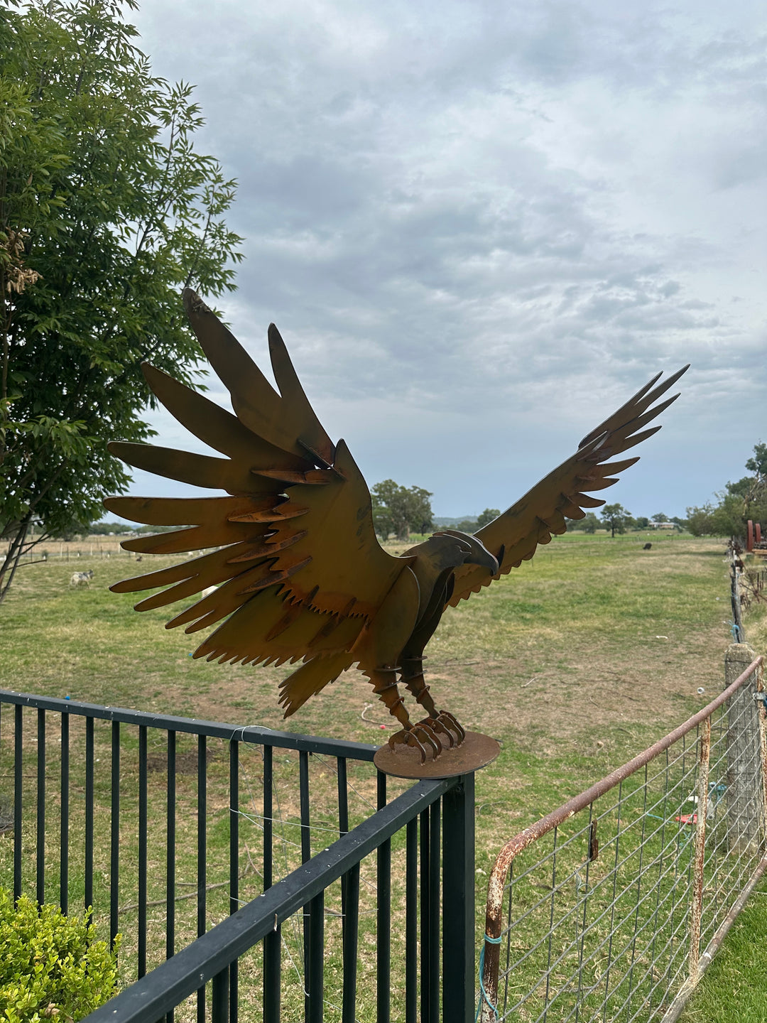 Wedge Tailed Eagle - Metal Sculpture - Garden Features-Old n Dazed