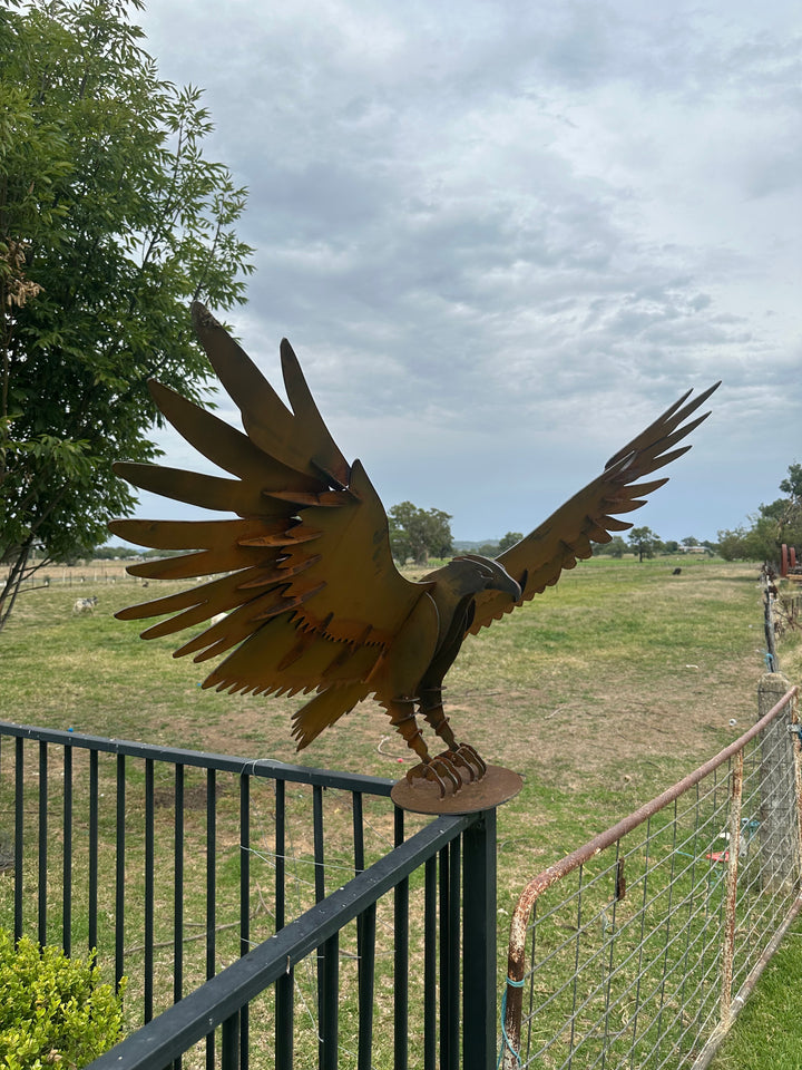 Wedge Tailed Eagle - Metal Sculpture - Garden Features-Old n Dazed