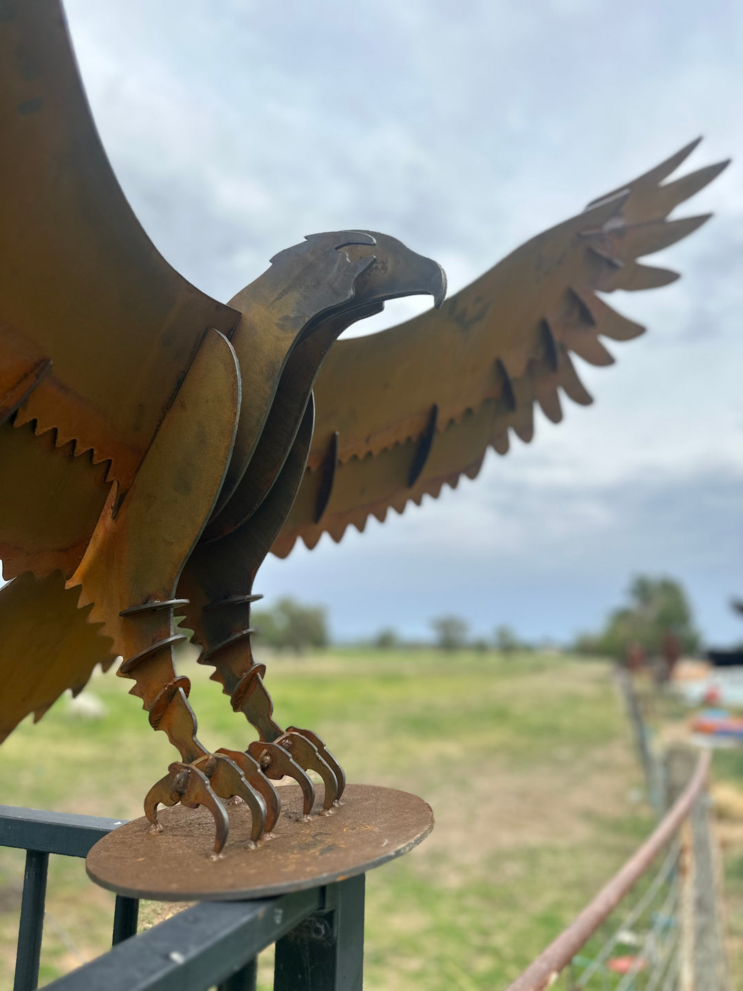 Wedge Tailed Eagle - Metal Sculpture - Garden Features-Old n Dazed