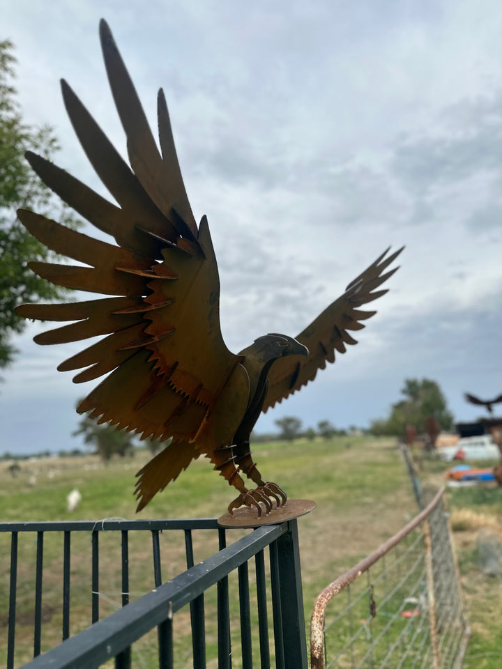Wedge Tailed Eagle - Metal Sculpture - Garden Features-Old n Dazed
