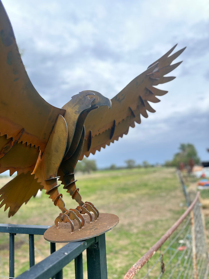 Wedge Tailed Eagle - Metal Sculpture - Garden Features-Old n Dazed