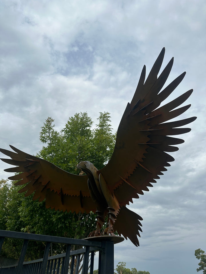 Wedge Tailed Eagle - Metal Sculpture - Garden Features-Old n Dazed