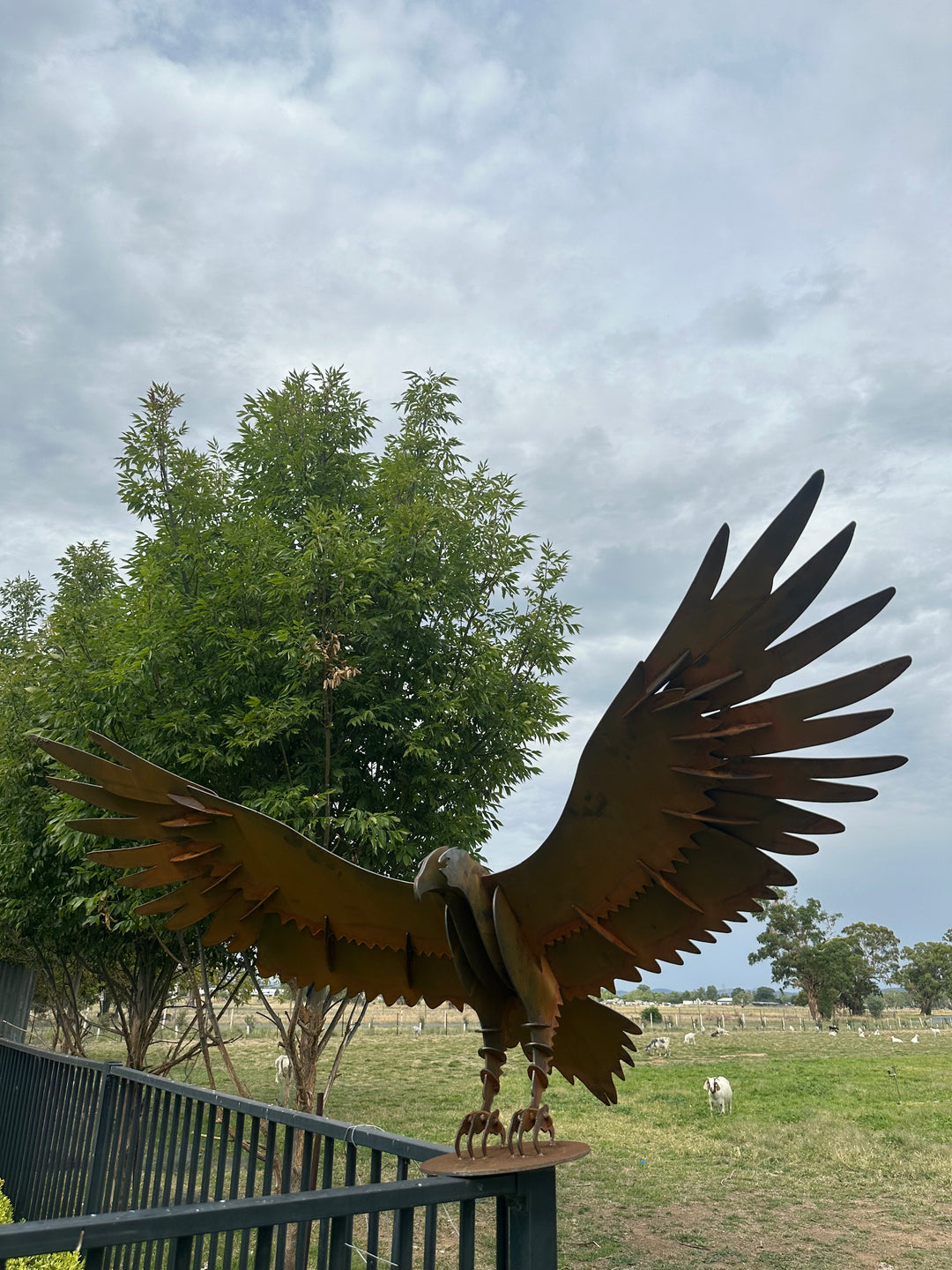 Wedge Tailed Eagle - Metal Sculpture - Garden Features-Old n Dazed