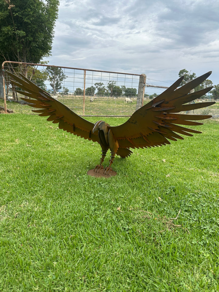 Wedge Tailed Eagle - Metal Sculpture - Garden Features-Old n Dazed
