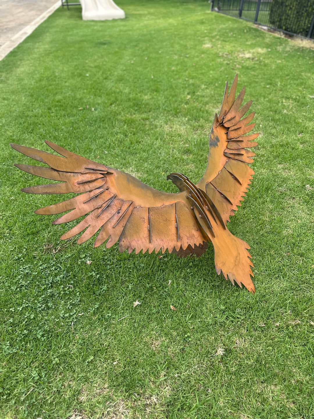 Wedge Tailed Eagle - Metal Sculpture - Garden Features-Old n Dazed