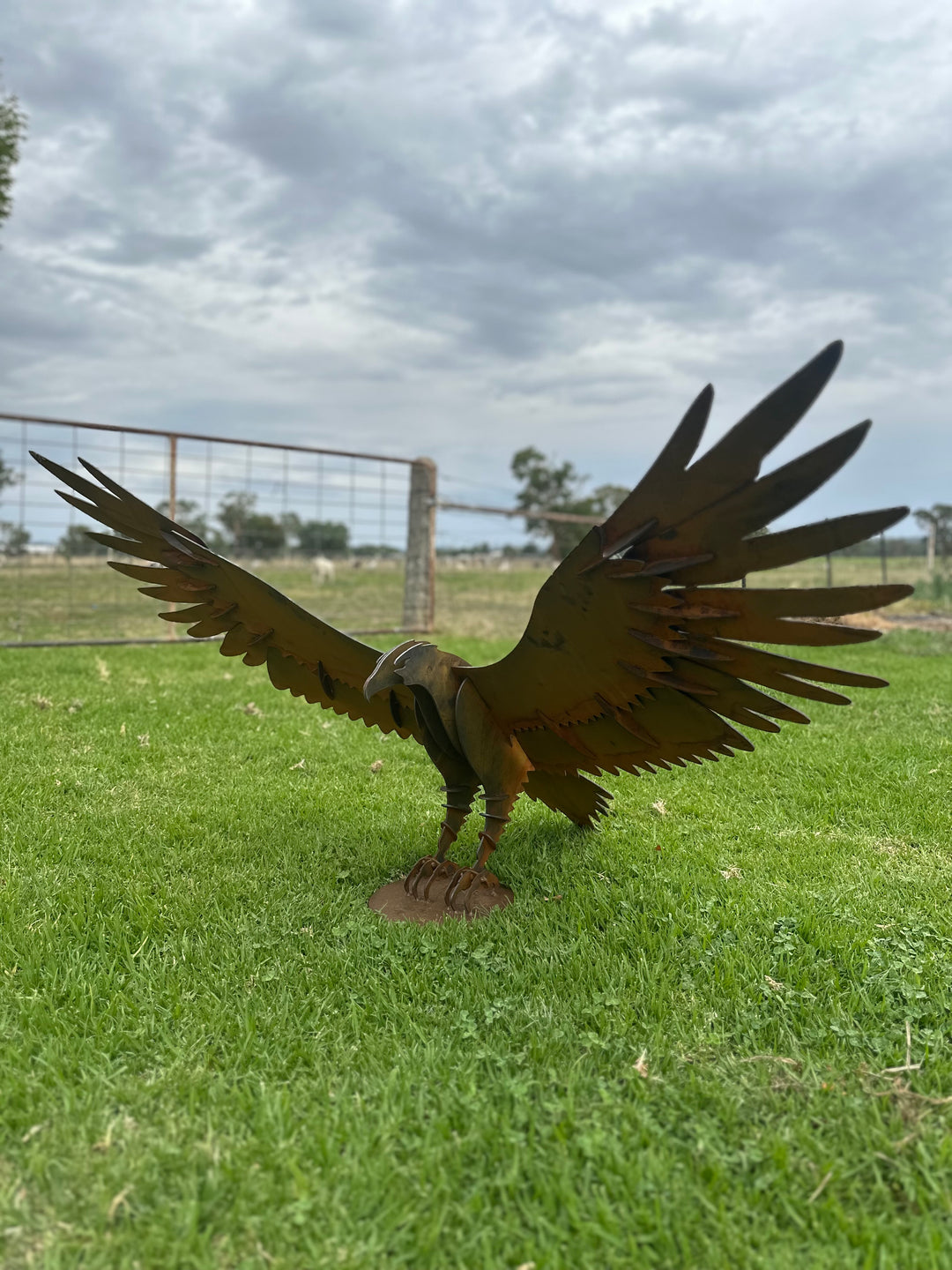 Wedge Tailed Eagle - Metal Sculpture - Garden Features-Old n Dazed