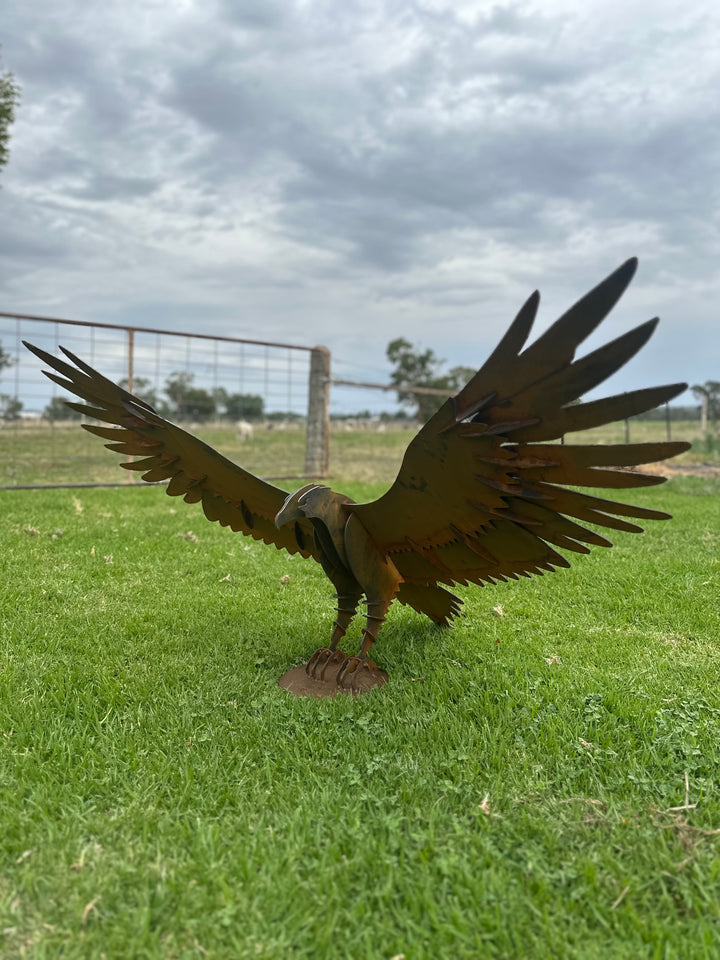Wedge Tailed Eagle - Metal Sculpture - Garden Features-Old n Dazed