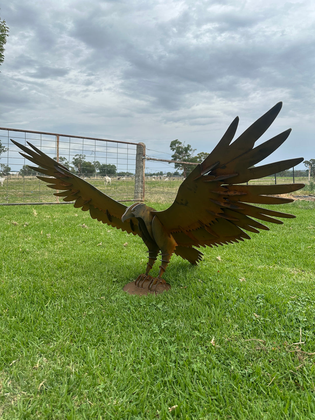 Wedge Tailed Eagle - Metal Sculpture - Garden Features-Old n Dazed