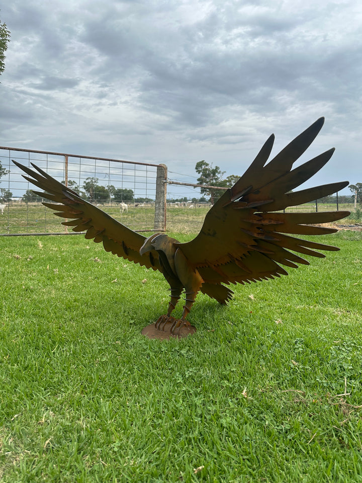 Wedge Tailed Eagle - Metal Sculpture - Garden Features-Old n Dazed