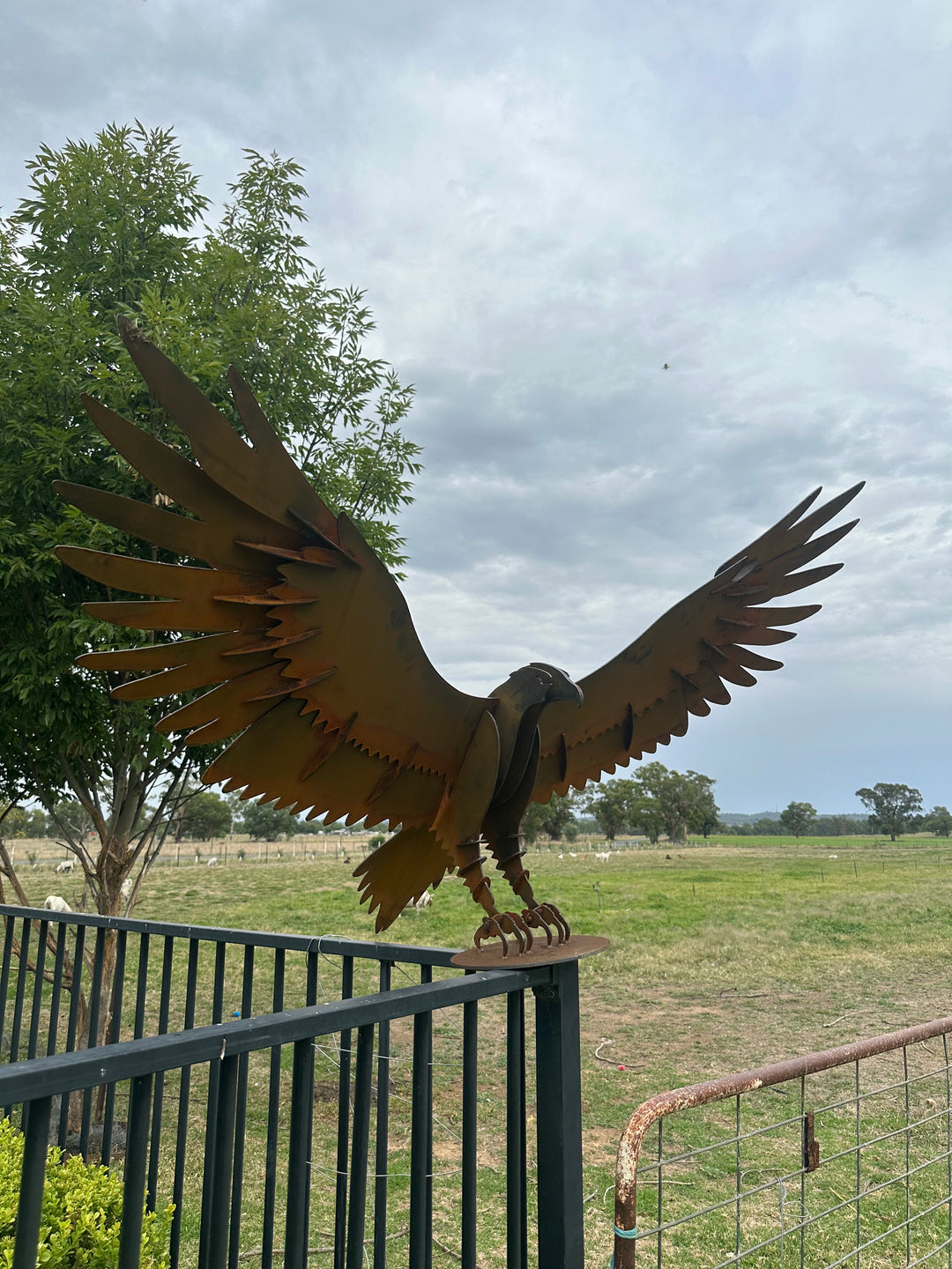 Wedge Tailed Eagle - Metal Sculpture - Garden Features-Old n Dazed
